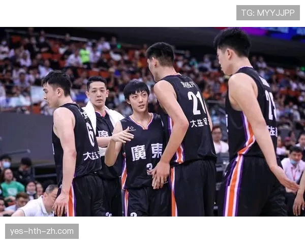 篮球界外球规则详解：判定标准与执行流程